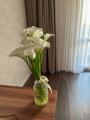 Elegant bouquet of white calla lilies in a glass vase near a window, soft natural light.
