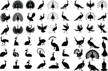 Peacock Silhouette with Spread Feathers – Majestic Bird Icon Elegant Peacock Icon – Open Feather Display Silhouette Set

