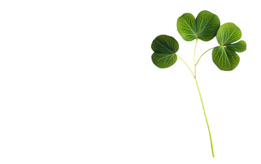 fries, potato, ketchup, food, french, fastfood, snack, crispy, tasty, delicious, fried, golden, salt, meal, closeup, sauce, eating, appetizer, isolated, fresh, crunchy, plate, unhealthy, oil, savory, 