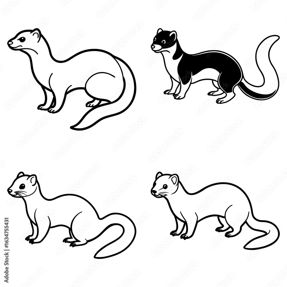 Poster four outlined weasels in different poses and color patterns on a white background illustration art