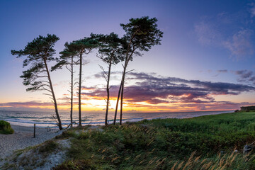Sonnenuntergang am Darßer Weststrand.