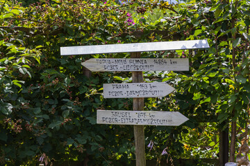 Wooden signpost in the garden