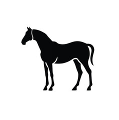 Obraz premium Abstract geometric design with vibrant color palette