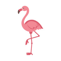 Fototapeta premium Cute cartoon flamingo standing on one leg with playful expression on white background 