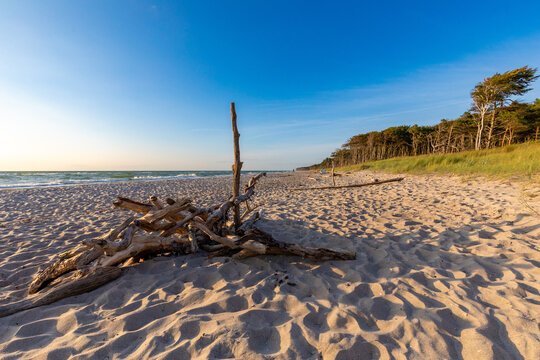 Zum Sonnenuntergang am Dar&szlig;er Weststrand.