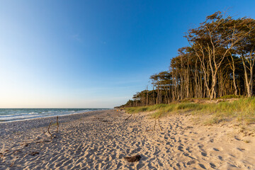 Zum Sonnenuntergang am Darßer Weststrand.