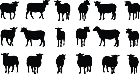Sheep silhouette set featuring walking and standing poses, farm animal icon grid, black livestock vector, pastoral graphic, agriculture theme