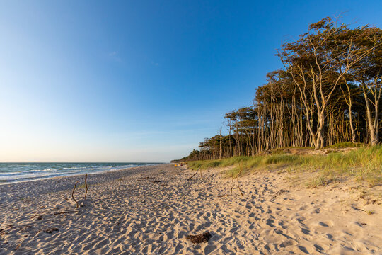 Zum Sonnenuntergang am Dar&szlig;er Weststrand.