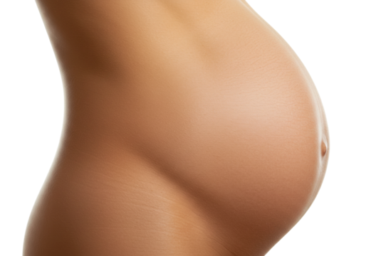 Profile of pregnant caucasian female's belly. Cut out PNG