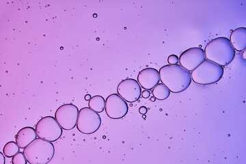 The texture is serums with spicules on a purple lilac background.