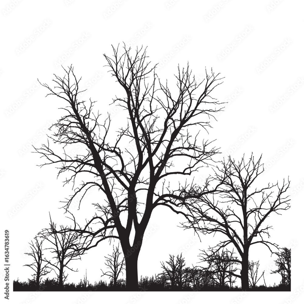 Poster silhouette of bare trees with intricate branch patterns against a white background in a winter scene