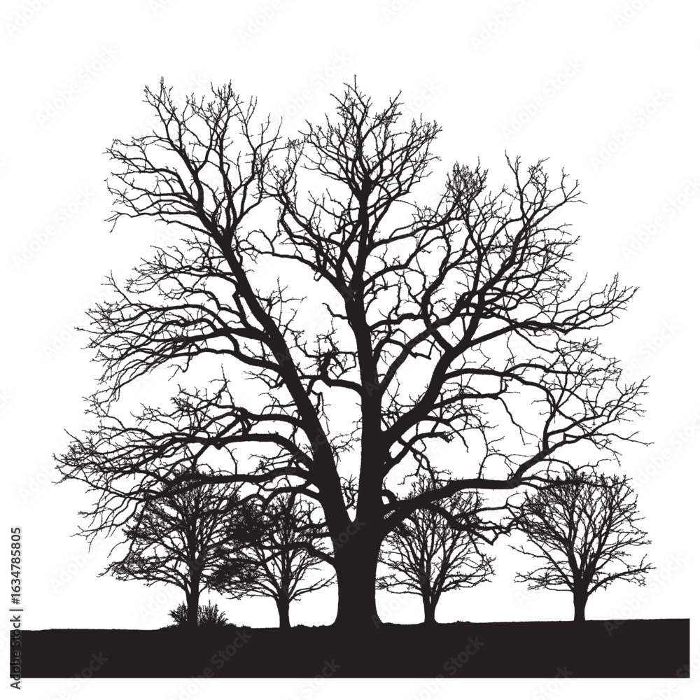 Poster silhouette of a large tree with bare branches surrounded by smaller trees against a white background