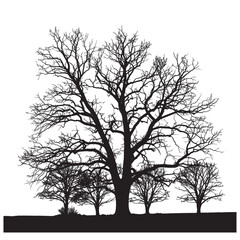 Silhouette of a large tree with bare branches surrounded by smaller trees against a white background scene view