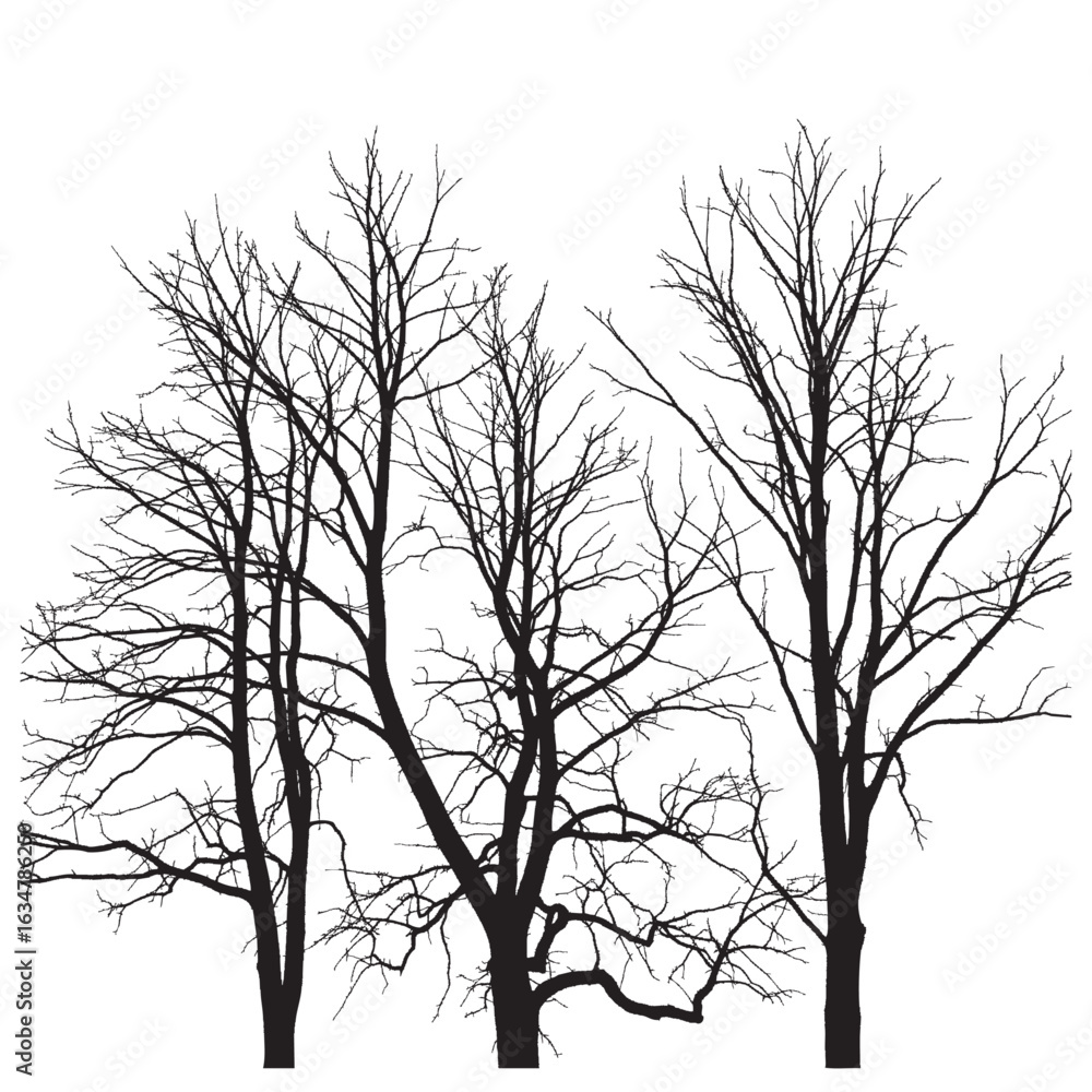 Aufkleber silhouetted trees with bare branches against a white background creating a stark winter scene effect