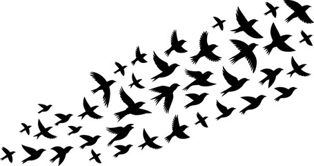 A dynamic graphic illustration depicting a flock of black bird silhouettes in flight, moving upwards and to the right.