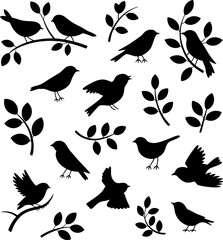 Naklejka premium Collection of black bird and branch silhouettes in various poses and arrangements.