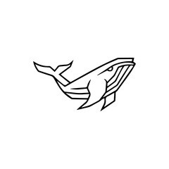 Line Art Whale Vector