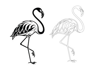 Flamingo Silhouette and Outline