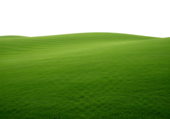 Green grass field on a hill isolated on transparent background