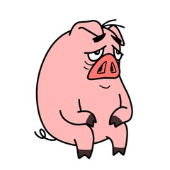 Pink pig cartoon character illustration on white background, animal mascot design, kawaii character, cartoon clipart with various expressions