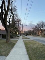 road in the park