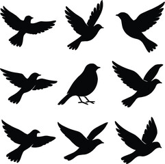 Obraz premium Set of Nine Black Bird Silhouettes in Varied Flying Positions with One Central Perched Bird — Minimalist Depiction of Avian Motion and Posture for Artistic, Educational, and Design 