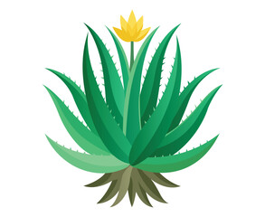 Fototapeta premium Simple Vector Illustration of an Aloe Vera Plant.