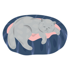 Sleeping Gray Cat in Bed, Comfy Nap, Cat on Soft Cushion, Lazy Day, Tabby Resting in Pet Bed