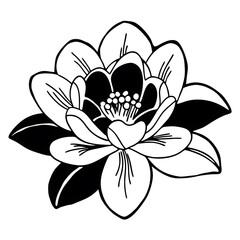 Elegant Black and White Line Art Flower Design