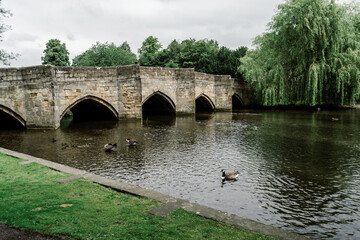 Fototapeta premium bridge over the river
