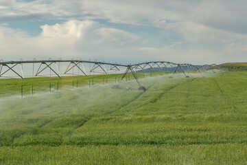 Irrigation system watering hay fields in Idaho 