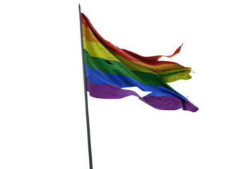 Rainbow Flag in the Wind: A vibrant rainbow flag, billowing freely against the sky, embodying the spirit of equality and inclusivity.