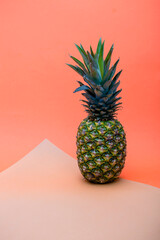 Ripe pineapple fruit on a colored background