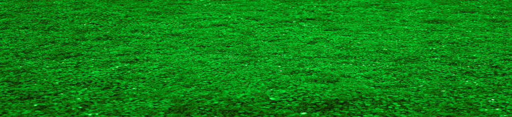 landscape green grass field in long perspective. Close-up green grass meadow without trees. empty...