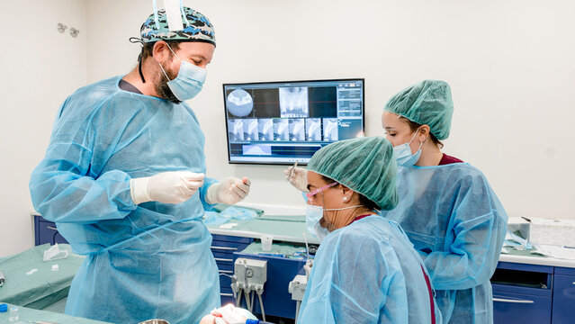 Dental professionals at work in implant clinic setting