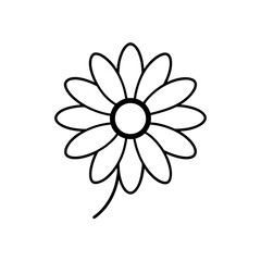 flower daisy icon vector