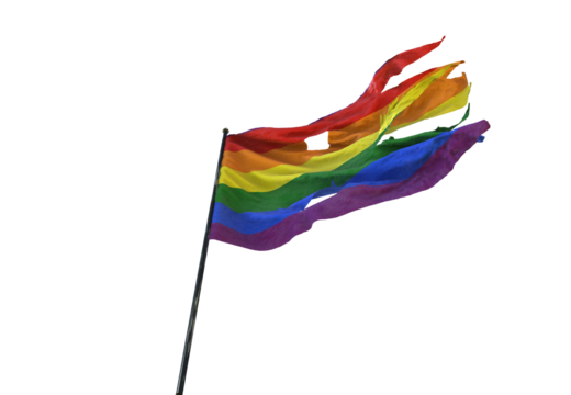 Pride Flag in the Wind: A vibrant rainbow flag, a symbol of equality and diversity, flutters boldly against a bright sky.