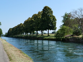 Canale con acqua in estate