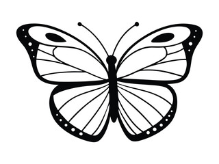 Intricate Butterfly Silhouette with Symmetrical Wing Patterns