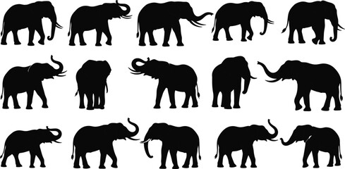 Collection of elephant silhouettes, walking and standing poses, wildlife animal vector set, isolated black elephants, nature concept, printable art