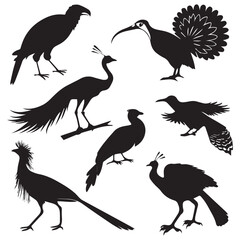 Obraz premium Collection of diverse bird silhouettes including peacocks and pheasants in various poses against a white background