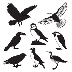 Naklejka premium Collection of silhouettes of various bird species including flying birds and standing birds