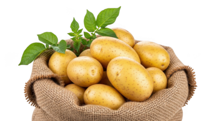 Fresh potatoes in a burlap sack isolated on transparent background
