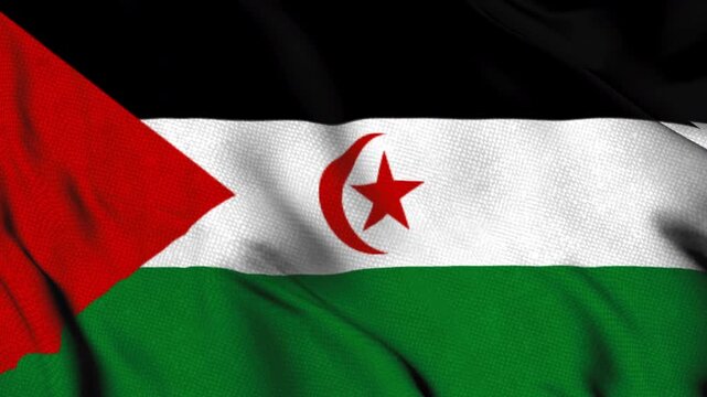 Western Sahara Flag with Crescent and Star