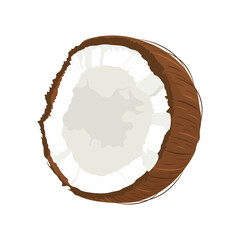 Half of ripe sweet coconut isolated on white background. Fruit collection