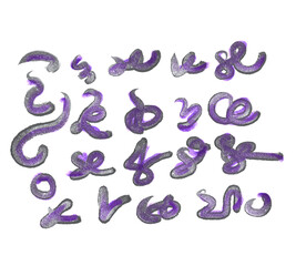 Abstract Hand-Drawn Shape Collection, Brushstroke Doodles Set,Creative Scribble and Swirl Elements, Modern Art Graphics
Digital Brushstroke and Doodle Shapes, Isolated Graphic Pack,Unique Artistic.