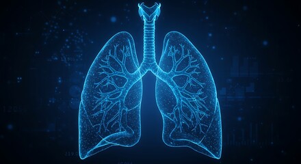 elegant modern detailed professional high quality Lungs and Trachea Anatomy Diagram