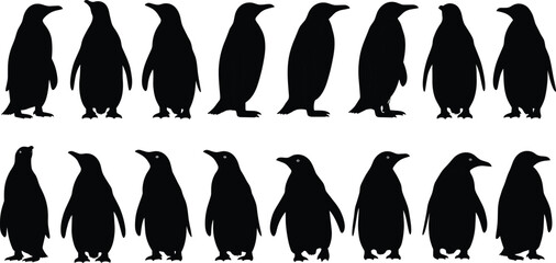 Silhouettes of penguins in various standing poses, Antarctic wildlife vector illustration, black and white bird, animal design for nature themes