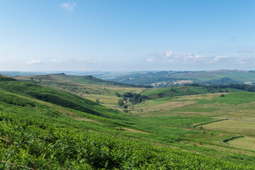 landscape with green fields and blue sky