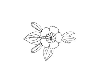Hand-drawn flower illustration, line art, floral sketch,Botanical drawing, single flower, plant and leaves, ink art,Line art flower, nature illustration, blooming blossom,Detaile floral vibrant sketch